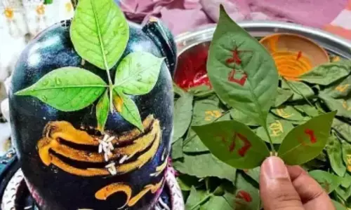 माता पार्वती के पसीने की बूंदों से ‘बेल पत्र’ की उत्पत्ति, जानें धार्मिक और आयुर्वेदिक महत्व